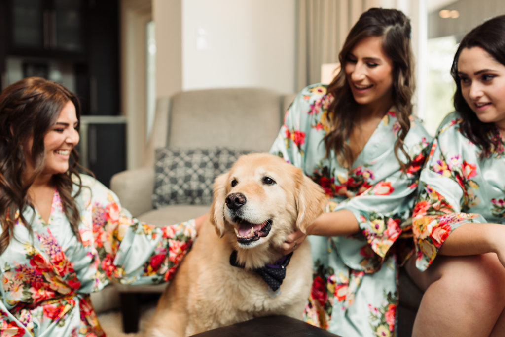 golden retriever wedding dog